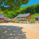 운수사 자판기