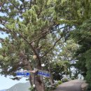 저구해안길 이미지