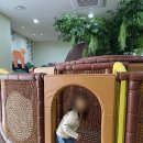 괴정유치원 이미지