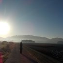 강진-49 | 전라남도 강진 한달살이 22일째 날