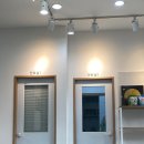 유림동물안과병원 이미지