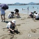 선유도 이미지