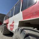 오피스웨이 | [캐나다 밴프 여행] 아이스필드 파크웨이 컬럼비아 설상차 후기(+스카이워크)