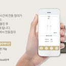 헬스퀸 네이버블로그