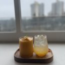 송도 카페] 반려견 동반 가능한 감성 카페 '네몽 nemong' (메뉴/가격/주차/영업시간/솔직후기/내돈내산)