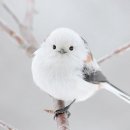 유투어 네이버블로그