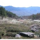 둥지농원 이미지