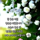 목요일 Daum카페