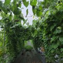 동우행정사합동사무소 이미지