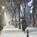 서울메리야스