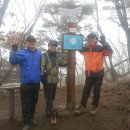 삼거대공원 Daum카페