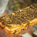 주식회사 워커 이미지