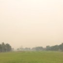 그린벨리 이미지