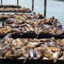 피어26(PIER26) 이미지