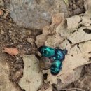 대현마을회관 이미지