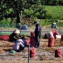 수림농장 이미지