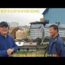 G00105 | 일석이조(一石二鳥) - 도봉과 말벌 피해을 한번에 해결하세요