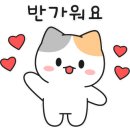 바로바로부동산공인중개사사무소 이미지