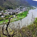 모젤(moselle)
