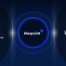 블루포인트 이미지