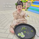 파파덕 유아방문수업 두돌아기 쑥 촉감놀이 후기