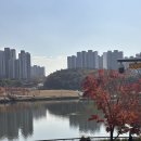 호수공원 | 동탄호수공원 피크닉 후기 | 돗자리 깔기 좋고 힐링하기 좋은 장소 추천