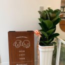 그룸 앤 먼치 이미지