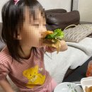 힘난다버거 성복점 이미지