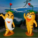 금산인삼종합전시관 이미지