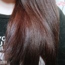 헤어오델리 | <오델리>마누카 허니 퍼퓸 샴푸&린스/대용량 샴푸 린스 추천
