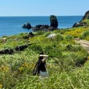 호호산장 | 7월 제주도 2박3일 여행코스 숙소 추천 ft.제주 팸투어