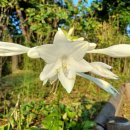 훼밀리공원 화장실 이미지