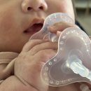 큐피트 | 아기 치발기 퍼기 큐피트손목치발기 오징어치발기 비교 후기