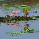 전곡항 공원 이미지