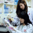 대웅건설 이미지