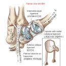 금호정형외과의원 이미지