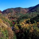 가을여행 이미지