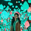 보라미디어 | [볼만한 전시 ]강릉 아르떼뮤지엄 달토끼전! 미디어아트 방문후기