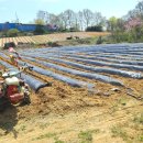 병만농장 이미지