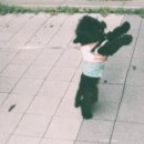 피앤씨코리아 | ✨Phoenix Game (피닉스 게임)🐦‍🔥