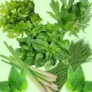 천년메디컬 이미지