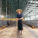 여물소농장 이미지