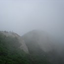 하모니카 연주 이미지
