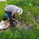 근성농장 이미지