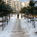 솔샘터널 Daum카페