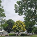 한강화장실 뚝섬16 화장실 이미지