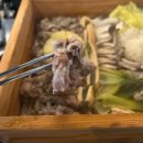 편백돈나무 | 홍대/서교 : 돈나무 편백찜