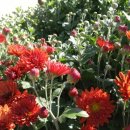 마산마을 이미지