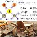 콜레스테롤 ( Cholesterol ) 이미지