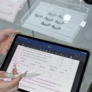 성신여대 속눈썹 펌 디아인 대만족 후기